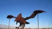 PICTURES/Borrego Springs Sculptures - Sloths & Bird of Prey/t_IMG_8890.JPG